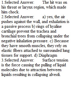 Lab 4 Worksheet